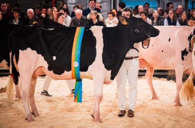 ILWG_20260124_Beursvloer Agro Expo deel 4_LR-109