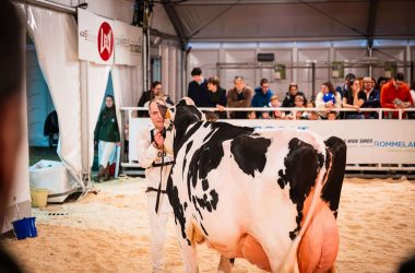 ILWG_20260124_Beursvloer Agro Expo deel 4_LR-45