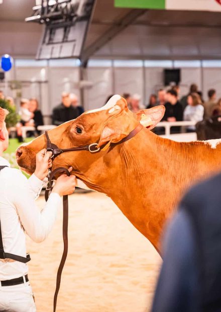 ILWG_20260124_Beursvloer Agro Expo deel 4_LR-46