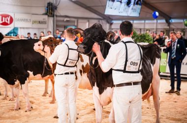 ILWG_20260124_Beursvloer Agro Expo deel 4_LR-73