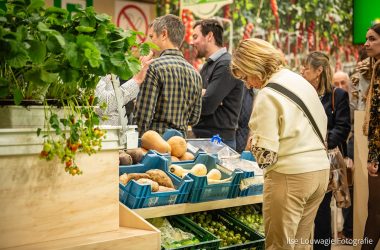 Sfeerbeelden Agro Expo 2024
